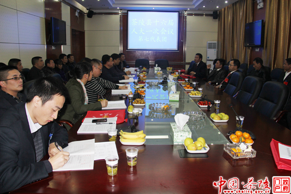 茶陵县第十六届人民代表大会第一次会议各代表团分组酝酿讨论