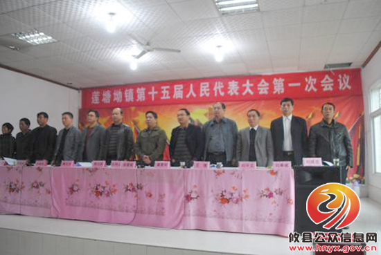 攸县莲塘坳镇召开十五届人民代表大会第一次会议