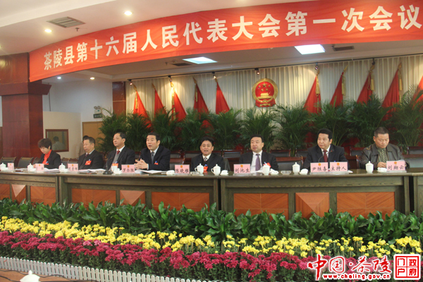 茶陵县第十六届人民代表大会第一次会议举行预备会议