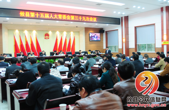 攸县第十五届人大常委会第三十九次会议　龚红果被任命为代理县长