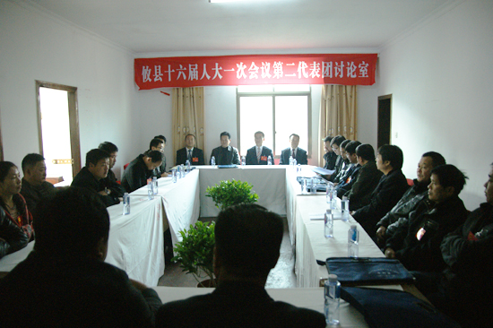 攸县十六届人大一次会议分组讨论选举办法(草案)