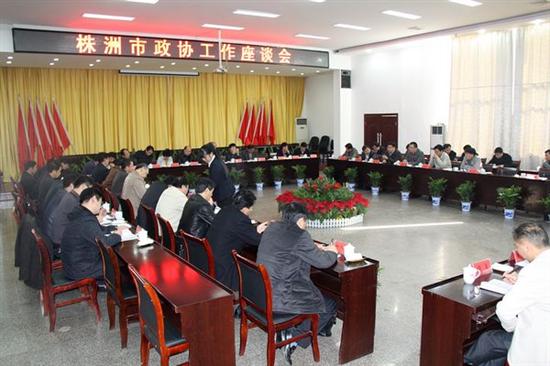 市政协工作座谈会召开