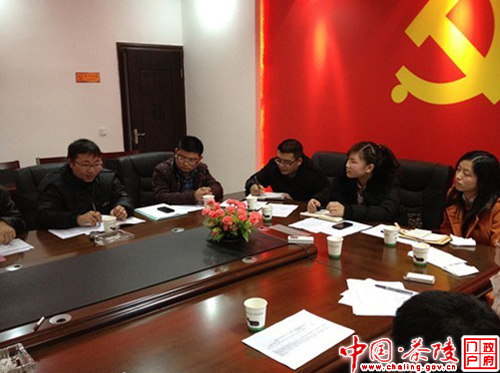 共青团茶陵县委召开年终交流会