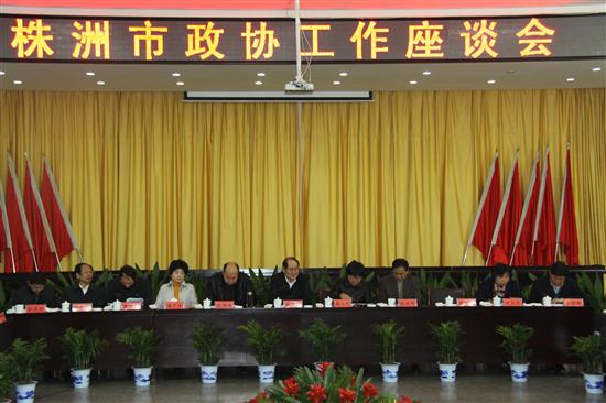 市政协工作座谈会召开