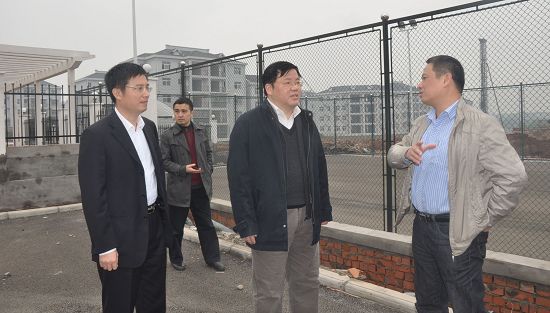 市委常委/组织部长徐文龙来我区视察基层党建工作