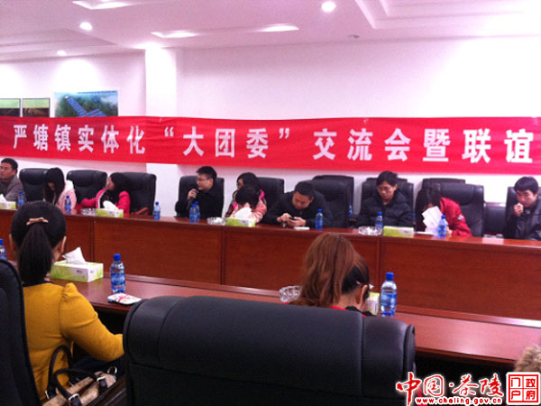 严塘镇召开乡镇实体化“大团委”建设工作交流会暨联谊会