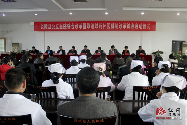 炎陵公立医院综合改革暨取消以药补医机制改革试点工作正式启动