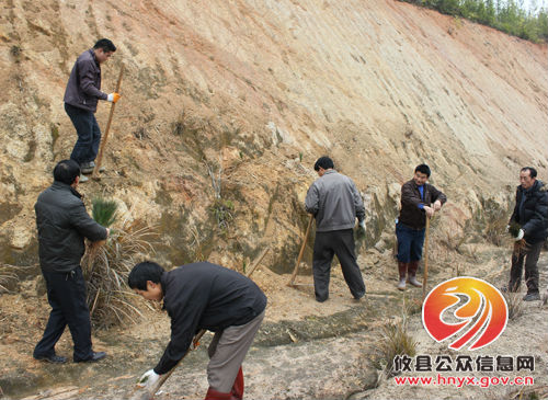 攸县槚山乡开展路边绿化 推进城乡同治
