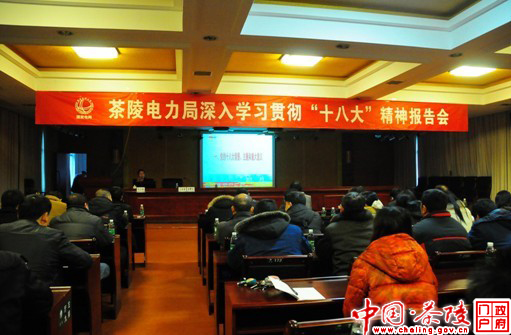 电力局学习贯彻党的“十八大”精神