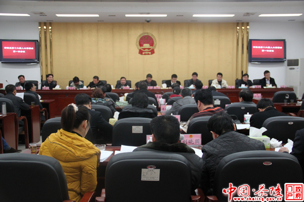 茶陵县十六届人大常委会第一次会议闭幕