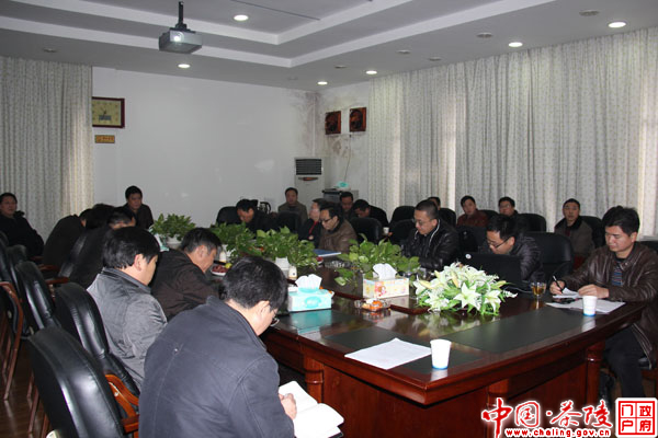 茶陵县召开新城片区控制性详细规划评审会