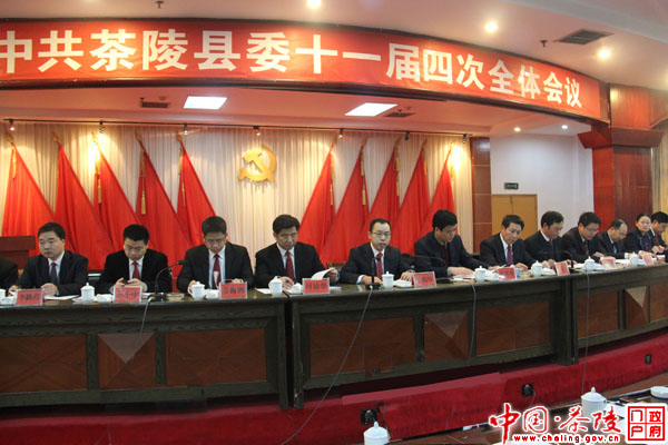 中共茶陵县委十一届四次全体会议胜利召开