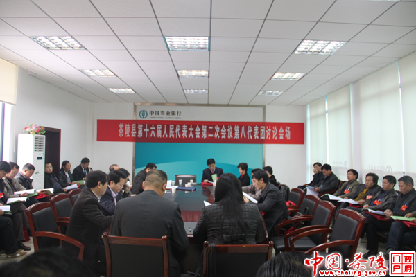 【两会】县第十六届人大二次会议召开各代表团讨论会议