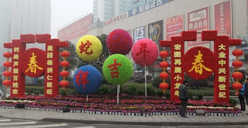 浓浓中国年 融融芦淞韵
