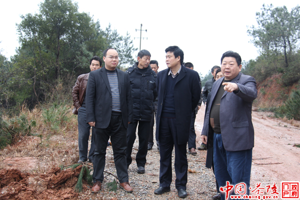 彭新军深入枣市镇枣园村视察指导工作