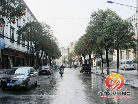 鸾山镇积极做好春节期间城乡同治工作
