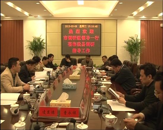 市政府调研组督查株洲县园区工作