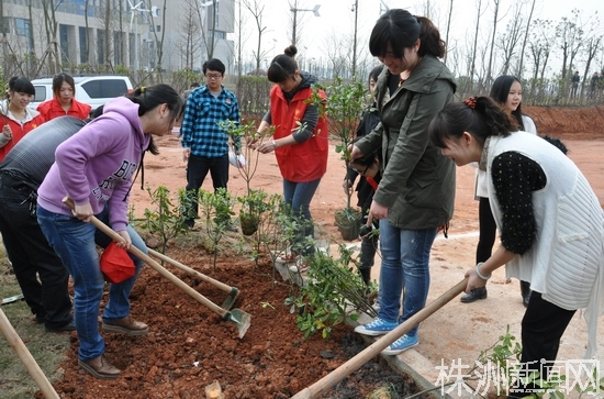 云龙示范区志愿者为城市添绿 植树1万余株