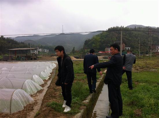 省农业厅驻点联络员李志明深入株洲县龙凤乡督导早稻集中育秧工作