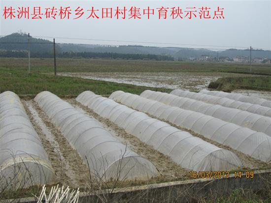 株洲县农业生产迈向产业化