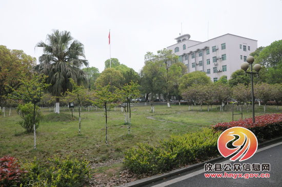 创建省级园林县城系列报道：绿化进单位 环境很优美