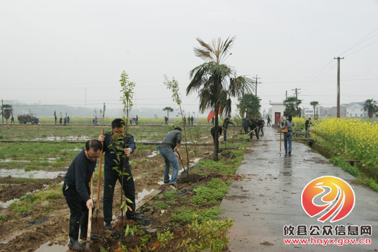 攸县政府办组织工作人员到新市镇新中村进行植树活动