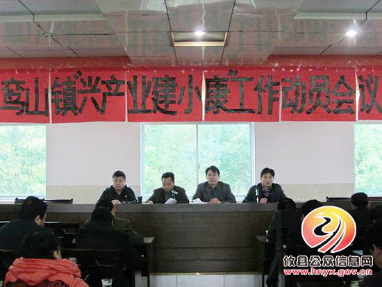 鸾山镇进行“兴产业、建小康”动员