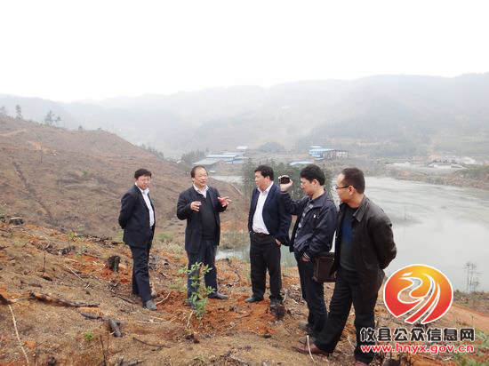 中南林科大专家来黄丰桥国有林场考察珍稀树种培育