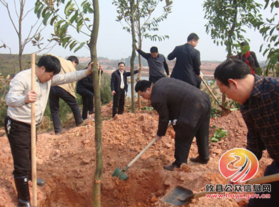 县人口计生局机关干部参加义务植树造林