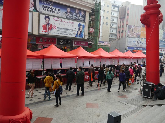 芦淞区举办“春风送温暖”招聘会