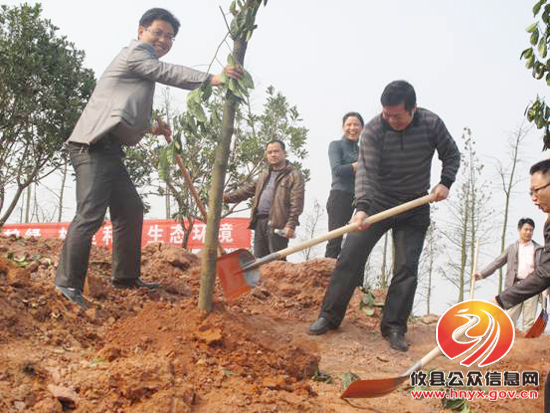 县招投标局积极参加义务植树活动