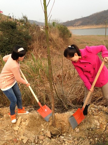 株洲县渌口镇植树造林添新绿,共建美丽新渌口
