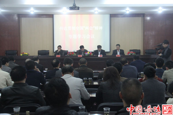 茶陵县传达贯彻全国“两会”精神