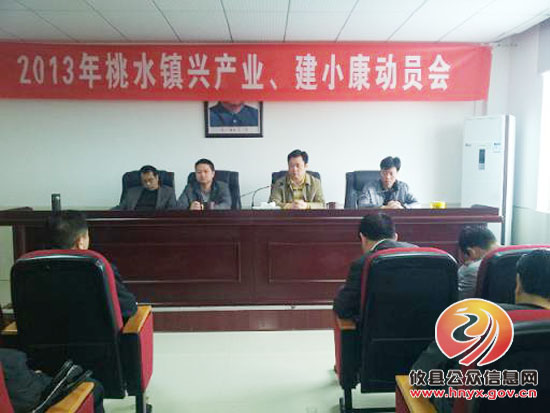 桃水镇“六突出”兴产业、建小康