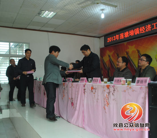 莲塘坳镇召开2013年经济工作动员暨文明建设表彰大会