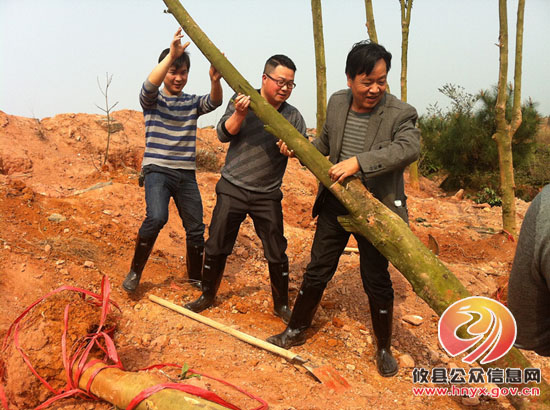 植树催浓春意，播绿造福后人——县房产管理局植树日记