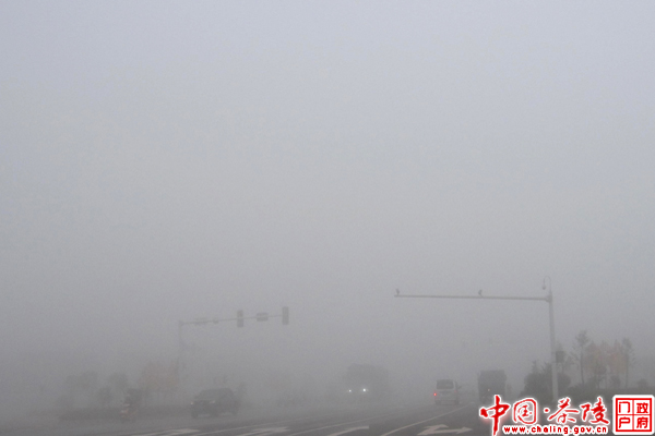 茶陵出现今年以来最大范围浓雾天气