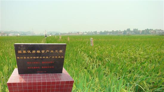 株洲县农业生产迈向产业化
