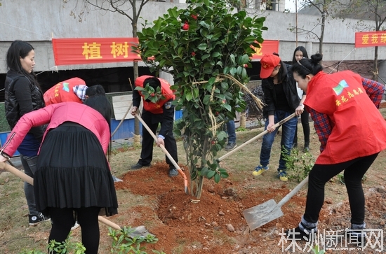 云龙示范区志愿者为城市添绿 植树1万余株