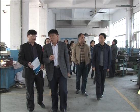 株洲县政协主席会议成员专题调研民营企业发展