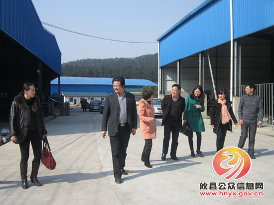 黄丰桥镇喜迎2012年度“十强十快乡镇”考核
