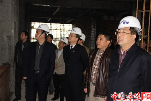 彭新军赴茶陵法院调研指导工作