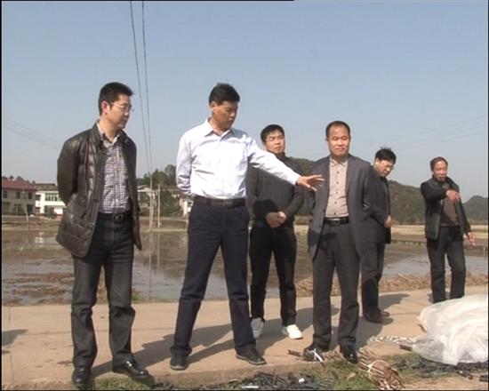 省农业厅巡视员青先国视察株洲县集中育秧工作