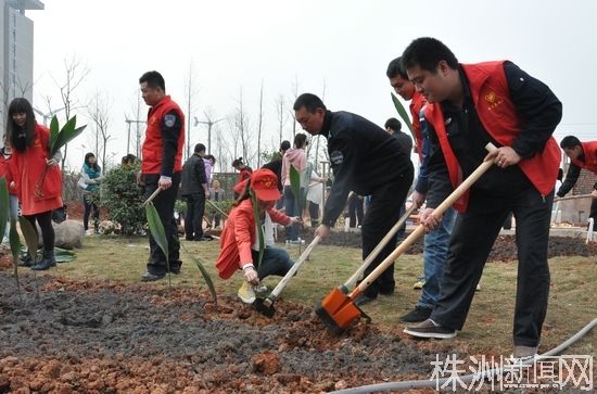 云龙示范区志愿者为城市添绿 植树1万余株
