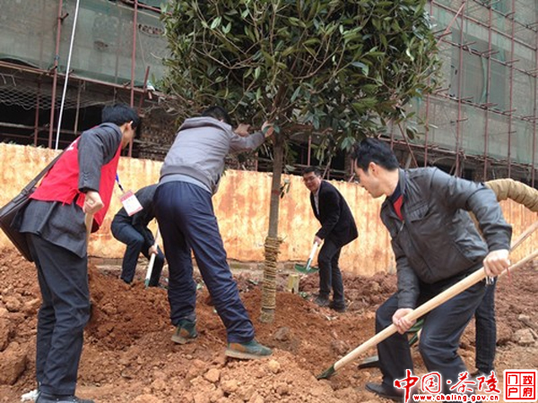 团县委组织开展植树造林活动