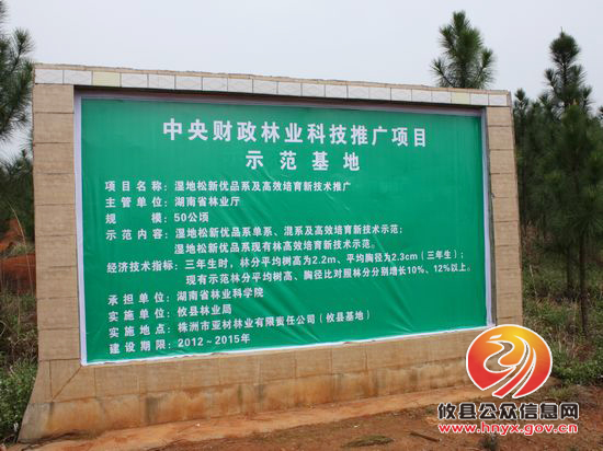 省林业厅专家来攸检查林业科技推广项目实施情况
