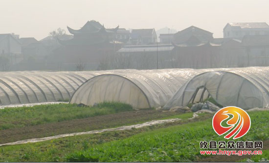 攸县江桥街道社区开展爱卫保洁活动
