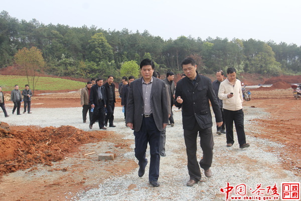 彭新军现场办公为企业排忧解难