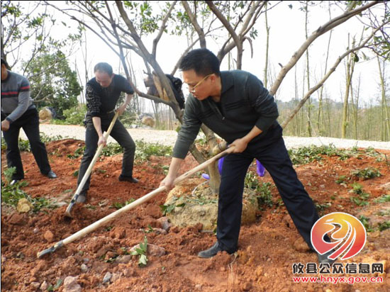 县商务局机关干部参加义务植树造林