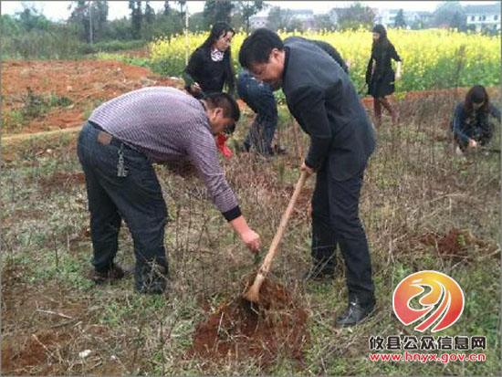大同桥镇组织全体机关干部参加义务植树活动